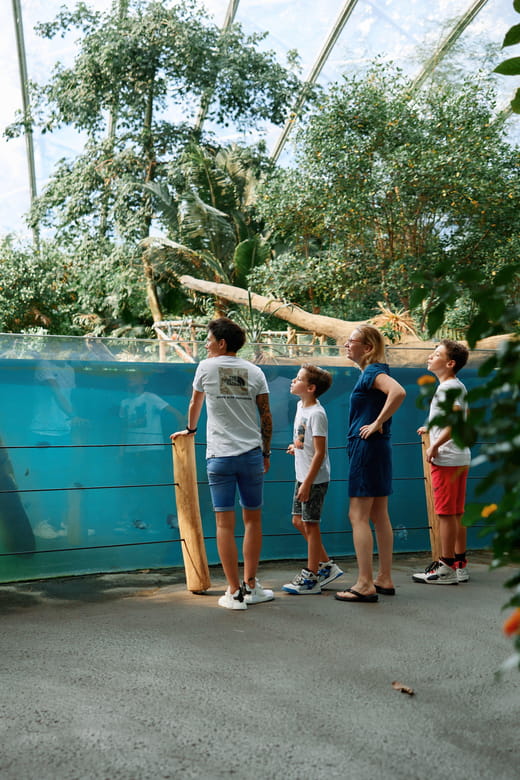 Arnhem: Burgers' Zoo Entry Ticket - Detailed Itinerary Breakdown and What to Expect