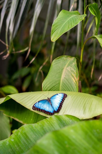 Arnhem: Burgers' Zoo Entry Ticket - Final Thoughts on Value and Experience