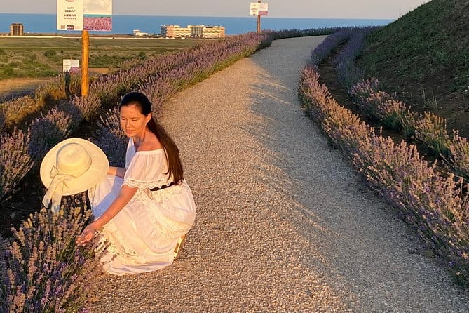 Aroma sampling of 5 Bulgarian Lavender varieties at DiVes Winery - FAQ