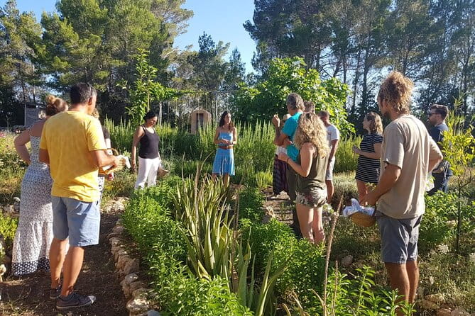 Aromatic Experience in the Medicinal Garden in Ibiza - The Sum Up