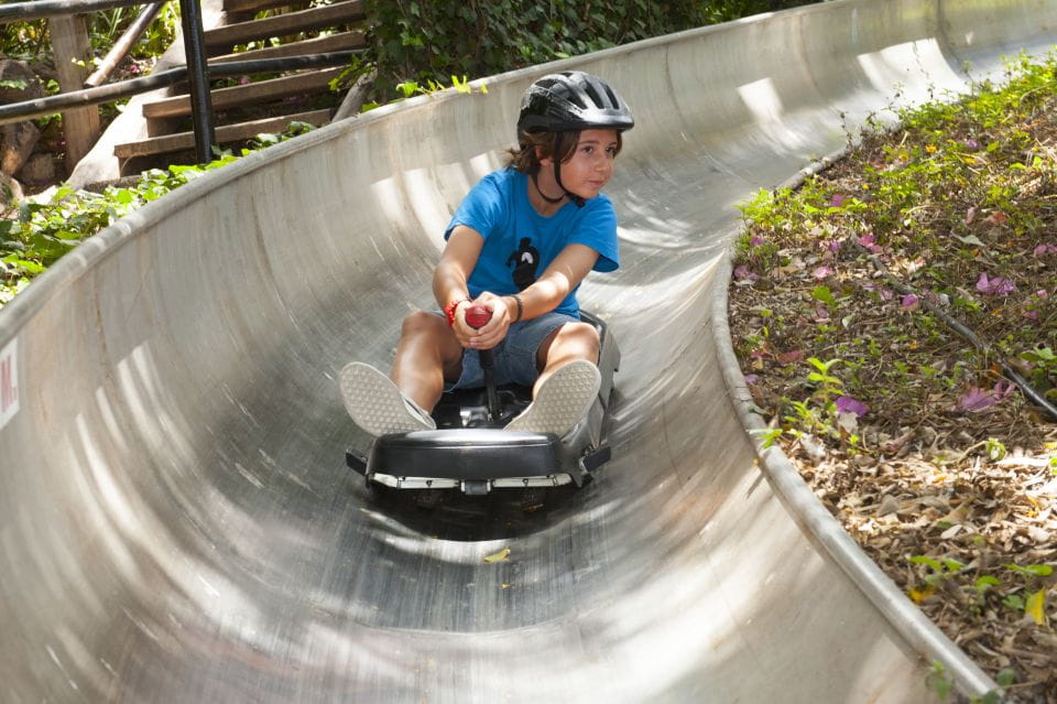 Arona: Entry Ticket to Tenerifes Jungle Park Zoo - Unique Features of Jungle Park