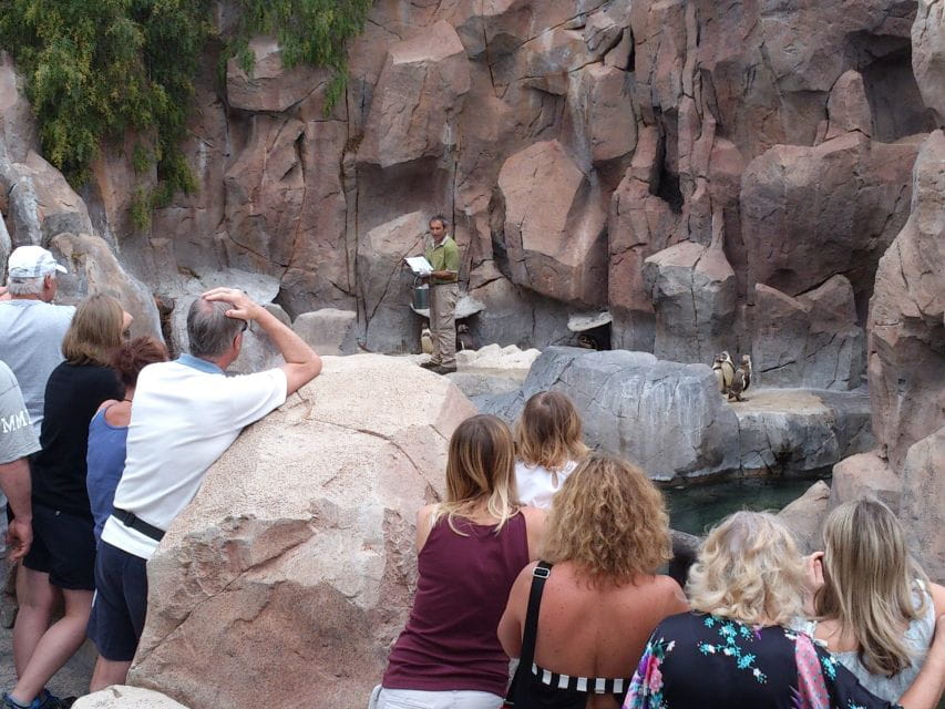 Arona: Entry Ticket to Tenerifes Jungle Park Zoo - Directions to Jungle Park