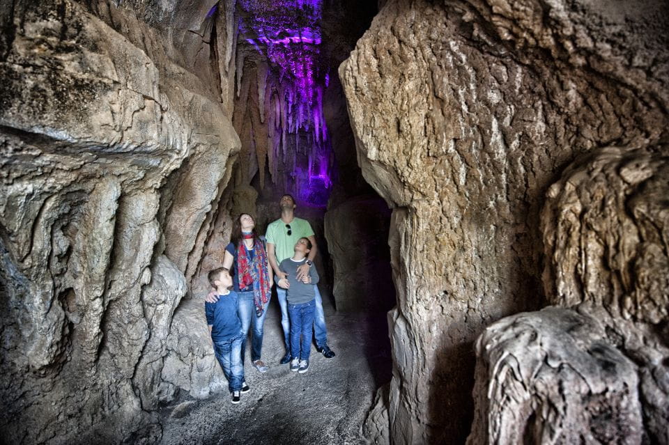 Arona: Entry Ticket to Tenerifes Jungle Park Zoo - Tips for a Great Visit