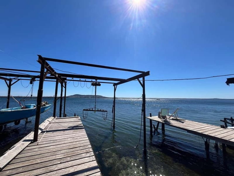 Around the Thau lagoon - tours and tastings - Key Points / Takeaways