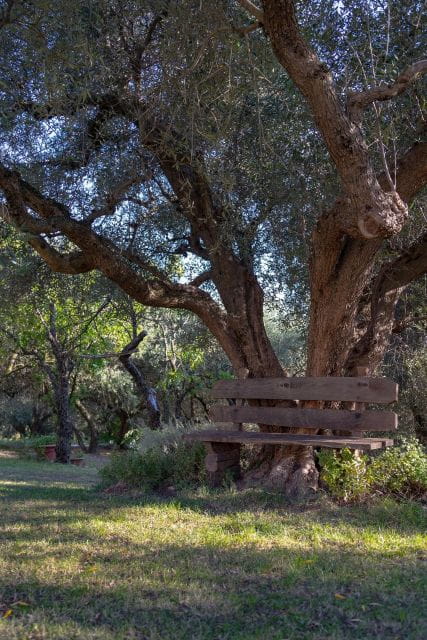 Arquà Petrarca Guided Tour From Padua - Visiting Petrarch’s House: A Personal Look at Italy’s Literary Legend