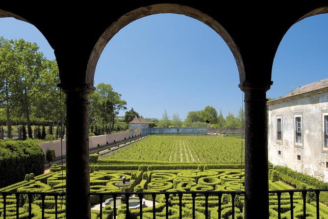 Arrabida and Bacalhoa Wine Tasting Private Tour from Lisbon - Transportation and Comfort