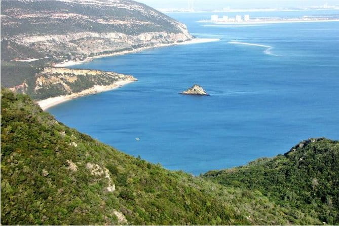 Arrabida and Bacalhoa Wine Tasting Private Tour from Lisbon - Who Should Consider This Tour?