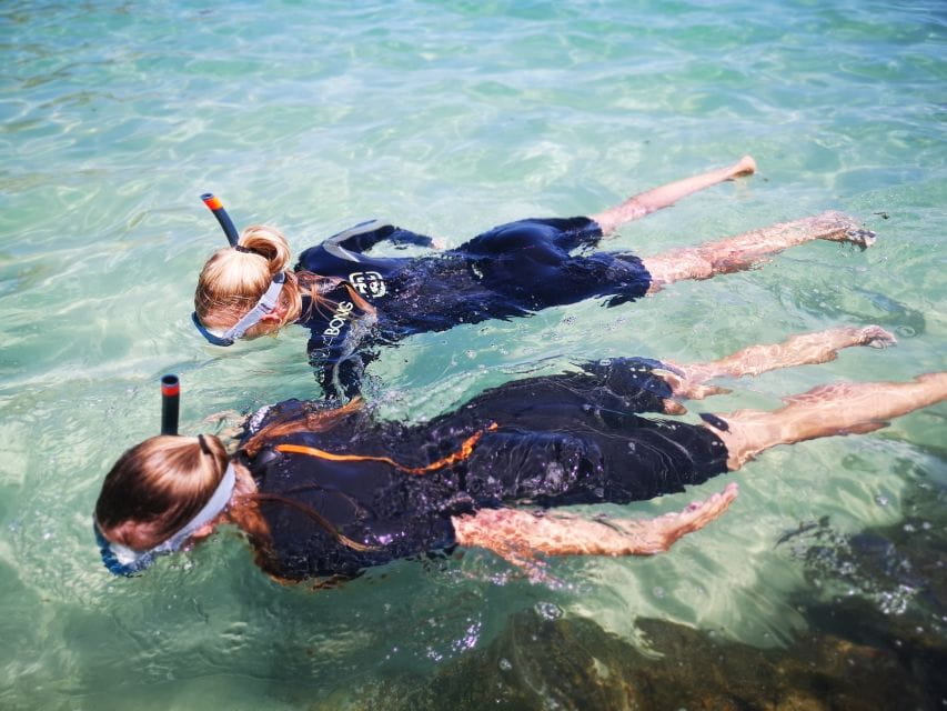 Arrábida: Kayaking and Snorkeling Experience - Key Points