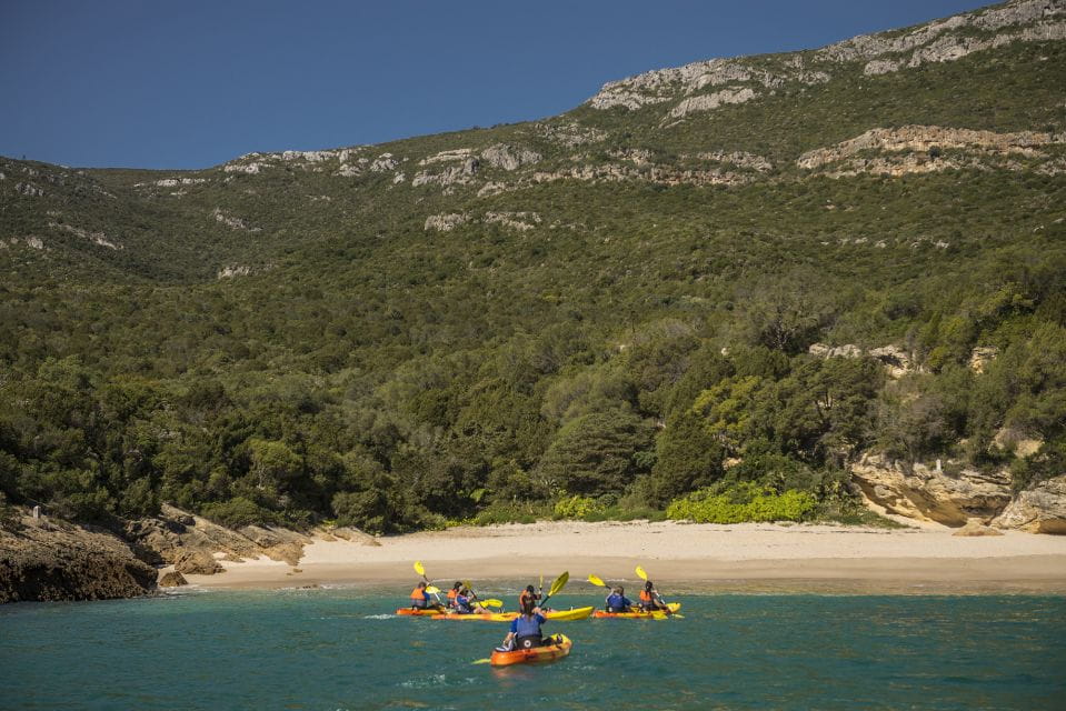 Arrábida Natural Park: Canoeing in Prof. Luiz S. Marine Park - Highlights of the Activity