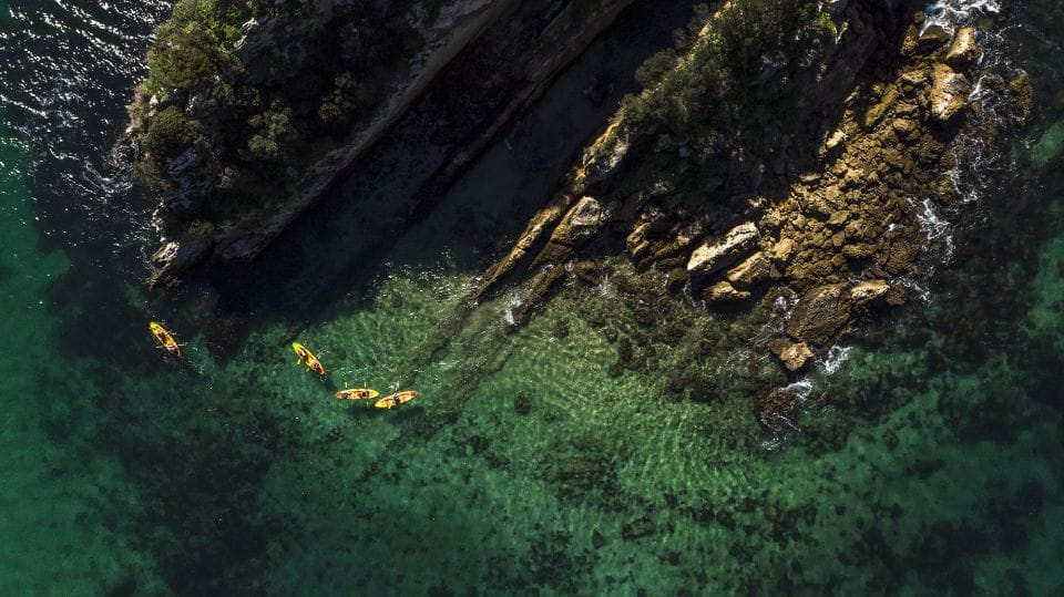 Arrábida Natural Park: Canoeing in Prof. Luiz S. Marine Park - Participant Requirements and Information