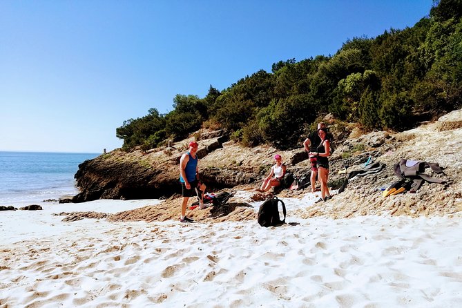 Arrábida Snorkeling Adventure With Transfer From Lisbon - Traveler Restrictions
