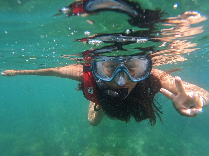 Arrábida: Snorkeling Experience in Arrábida Marine Reserve - Marine Wildlife Encounters