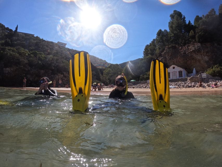 Arrábida: Snorkeling Experience in Arrábida Marine Reserve - Experienced Instructors