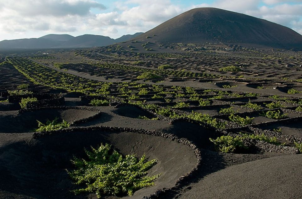 Arrecife/Playa Blanca: Timanfaya National Park Area Day Tour - Experience Highlights