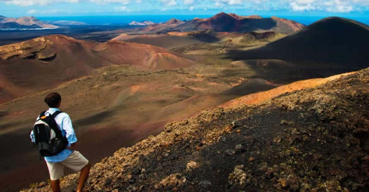 Arrecife/Playa Blanca: Timanfaya National Park Area Day Tour - Things To Know