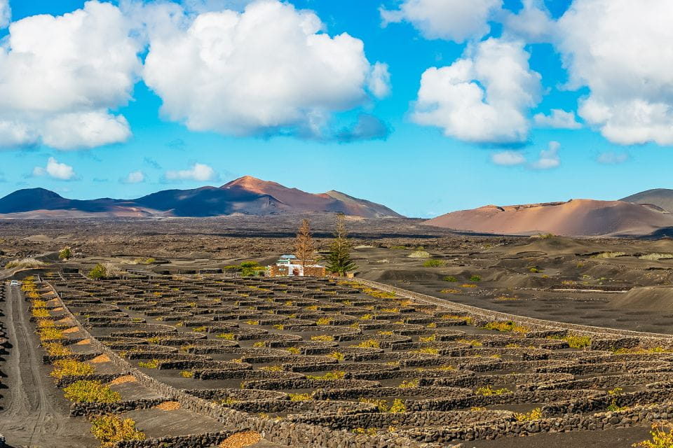 Arrecife: Timanfaya and Green Lagoon for Cruise Passengers - Pricing and Booking Details