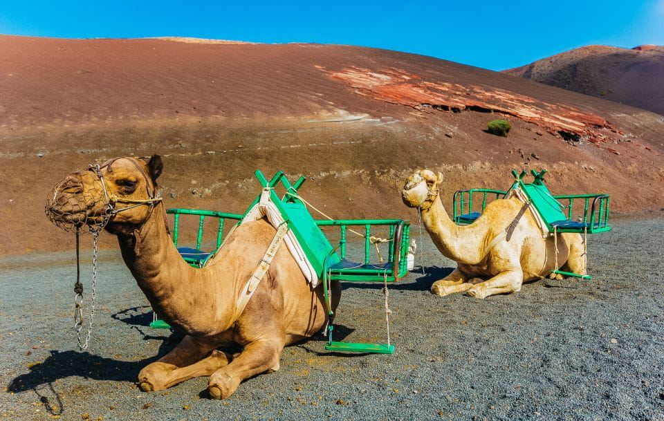 Arrecife: Timanfaya and Green Lagoon for Cruise Passengers - Green Lagoon Experience
