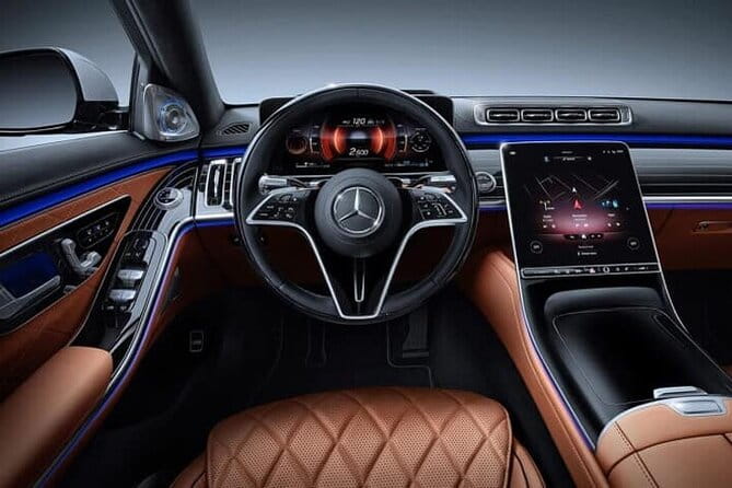 Arrival from Basel Airport BSL to Basel City by Luxury Vehicle - Vehicle Options and Comfort