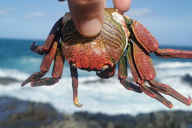 Arround Gran Canaria All Highlights Private Shore Excursion - What Makes This Tour Stand Out?