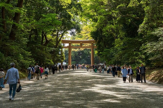 Art Gallery Okonomiyaki Cooking in Harajuku - Accessibility and Requirements