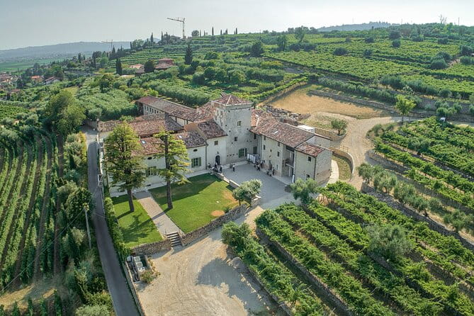 Art & Wine Experience in Valpolicella at Palazzo Montanari - Key points / Takeaways