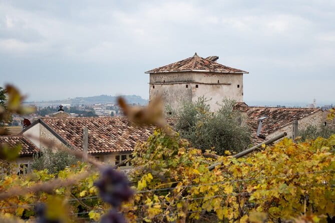 Art & Wine Experience in Valpolicella at Palazzo Montanari - Frequently Asked Questions