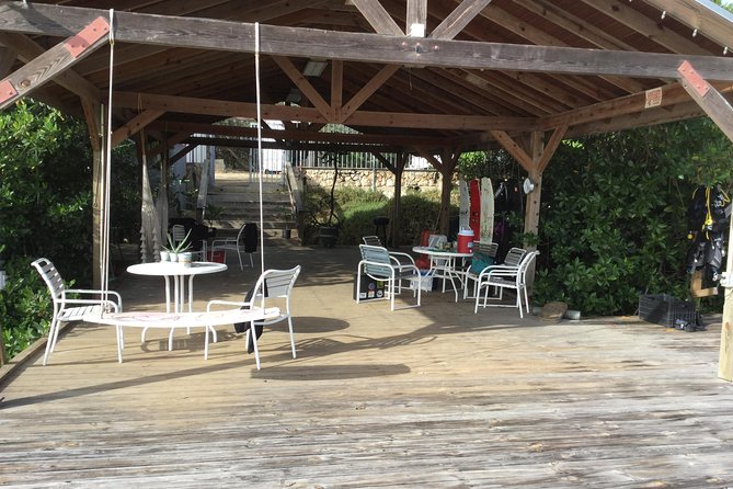 Aruba 1-Tank Guided UV Night Dive for Certified Divers With Rental Equipment - Key Points