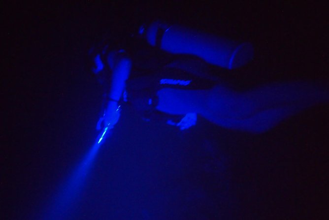 Aruba 1-Tank Guided UV Night Dive for Certified Divers With Rental Equipment - Booking Information