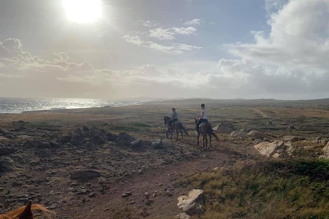 Aruba Private, 2 Hour Horseback Riding Tour For Advanced Riders - Key Points