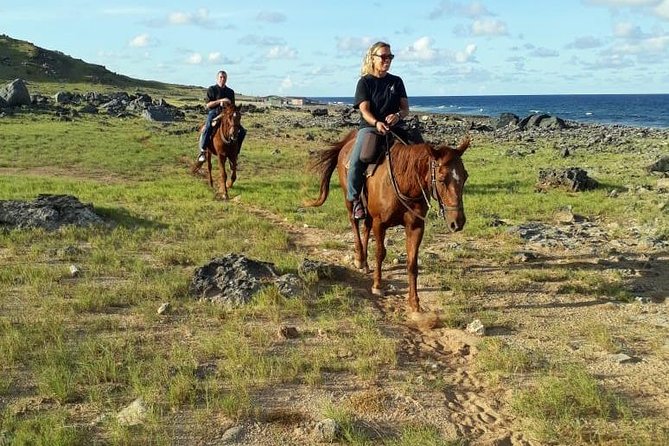 Aruba Private, 2 Hour Horseback Riding Tour For Advanced Riders - Tour Requirements