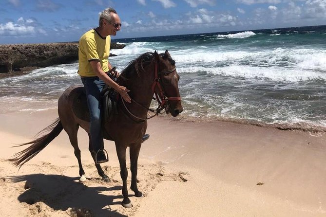 Aruba Private, 2 Hour Horseback Riding Tour For Advanced Riders - Meeting and Pickup