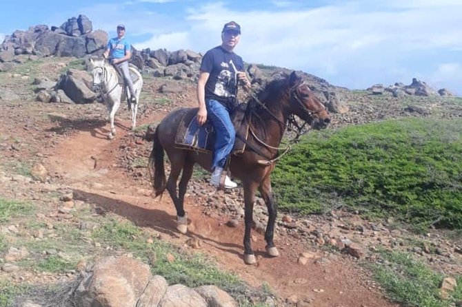 Aruba Private, 2 Hour Horseback Riding Tour For Advanced Riders - Exploring Aruban Countryside