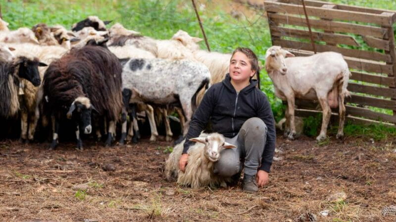 Arzana: Day with a shepherd w/ lunch in a farm - Exploring the Mountain Farm in Arzana