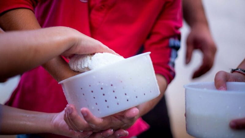 Arzana: Day with a shepherd w/ lunch in a farm - The Benefits of a Digital Detox in Sardinian Nature