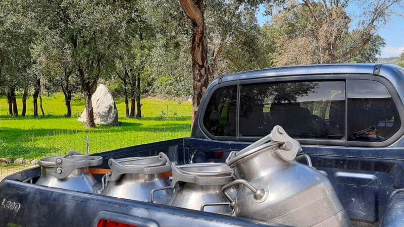 Arzana: Day with a shepherd w/ lunch in a farm - Price and Overall Value