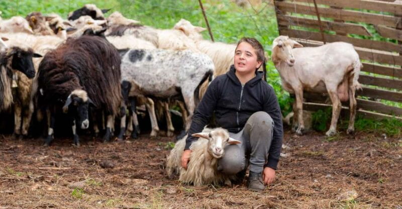 Arzana: Day with a shepherd w/ lunch in a farm - FAQ