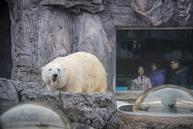 Asahiyama Zoo One-Day Tour - Inclusions and Exclusions