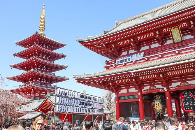 Asakusa Cultural Walk & Matcha Making Tour - Visiting Sensoji Temple and Kappabashi Kitchen Street