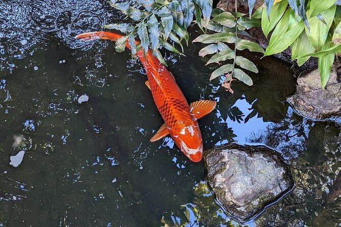 Asakusa: Traditional Exquisite Lunch After History Tour - Traditional Japanese Cuisine Lunch