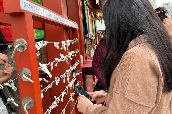 Asakusa & Ueno (Ameyoko)Tour - Accessibility and Requirements