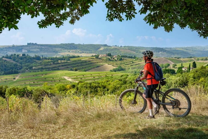 Asciano & Crete Senesi E-BIKE Tour + Pick-up&Drop-off by Van - Exploring Tuscany on Two Wheels: An Honest Look at the Asciano & Crete Senesi E-Bike Tour