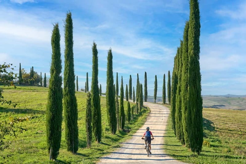 Asciano & Crete Senesi E-BIKE Tour + Pick-up&Drop-off by Van - Who Should Consider This Tour?
