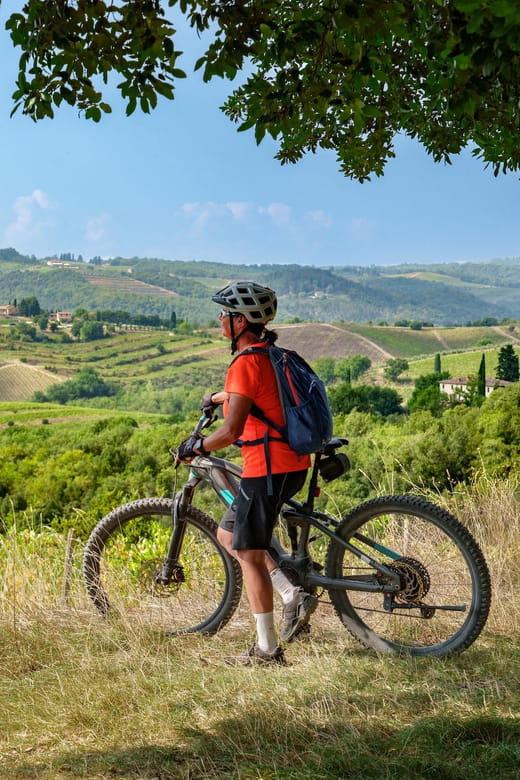 Asciano & Crete Senesi E-BIKE Tour + Pick-up&Drop-off by Van - The Sum Up