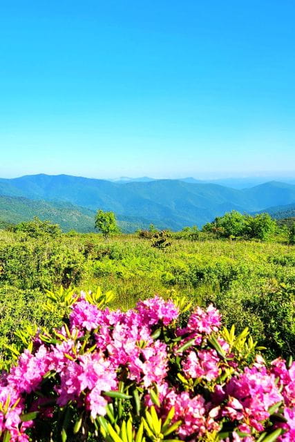Asheville: Blue Ridge Mountains Tour for Children! - Frequently Asked Questions