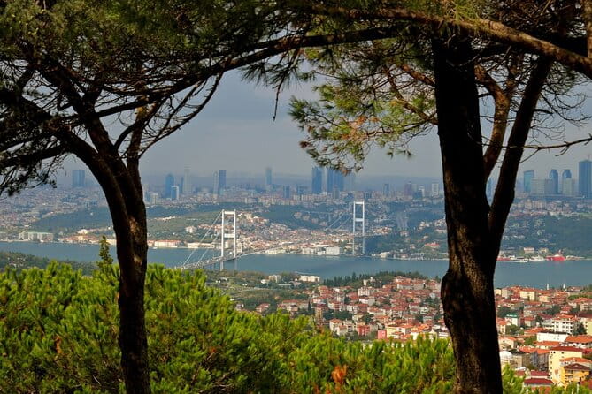 Asian Side of Istanbul Tour - Half-Day Small Group Tour - Final Thoughts: Is This Tour Right for You?