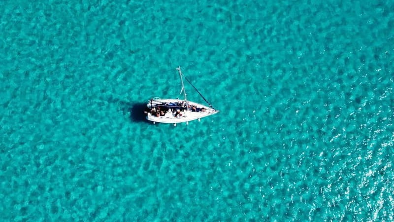 Asinara: Gita in barca a vela nel parco dell'Asinara - Key points / Takeaways