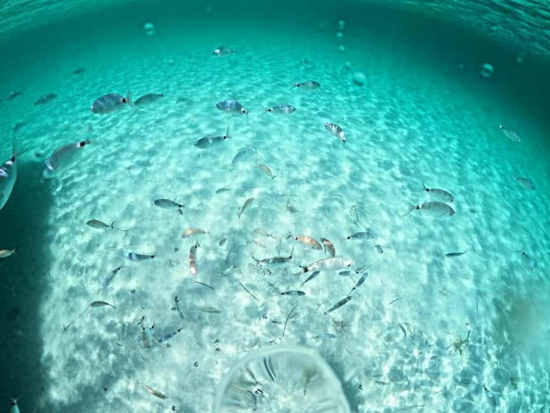 Asinara: Gita in barca a vela nel parco dell'Asinara - Discovering Sardinia by Sail: A Practical Overview