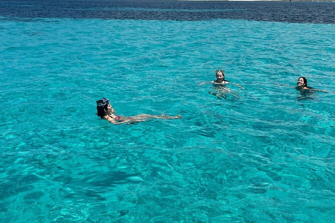 Asinara: Sailing trip in the park of Asinara - Who Is This Tour Best For?