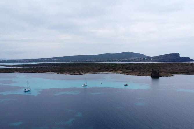 Asinara: Sailing trip in the park of Asinara - Final Thoughts