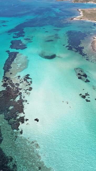 Asinara: Tour catamaran asinara island with lunch - Price and Logistics: Making It Work
